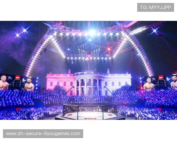 UFC防守反击精确打击：掌握格斗场上的制胜利器