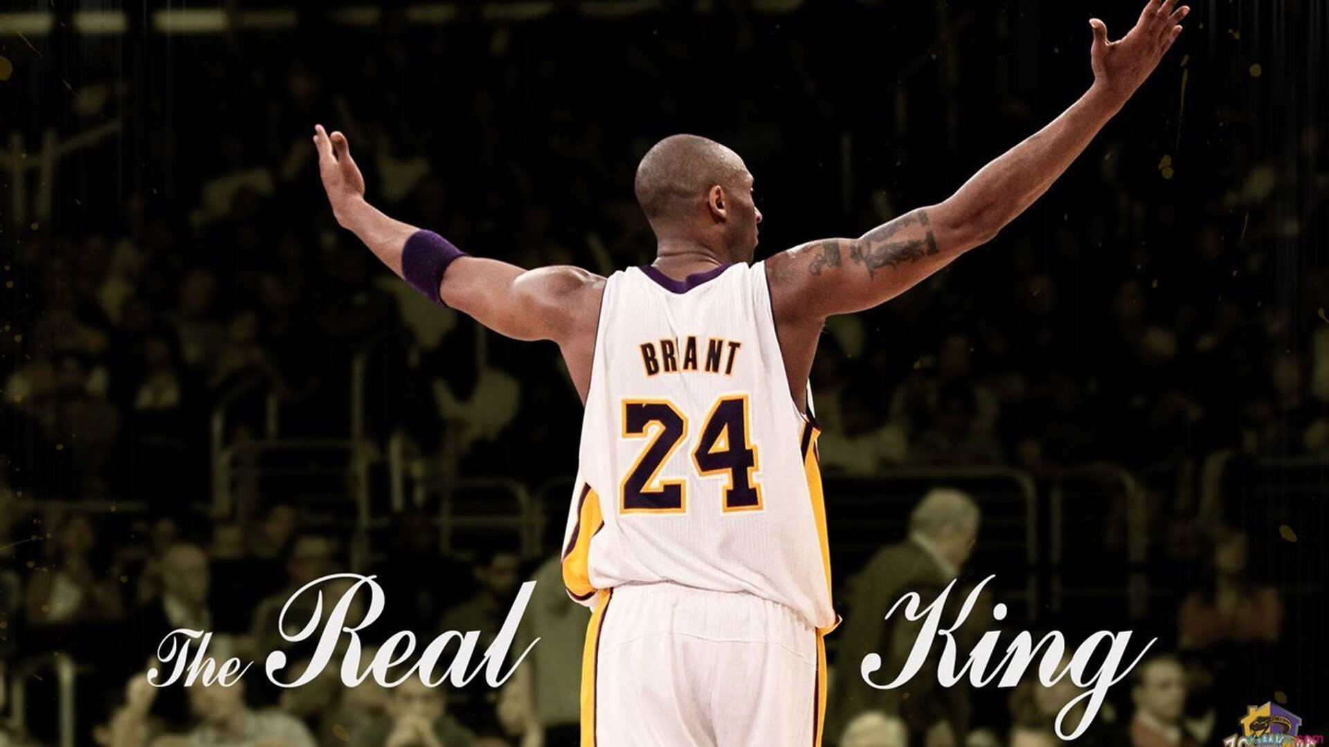 九游网游官网-“世界顶级选手齐聚武汉，马拉松赛场激烈开跑”